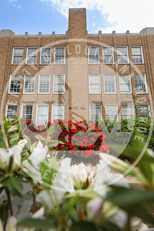 Spring Campus Beauty 2018