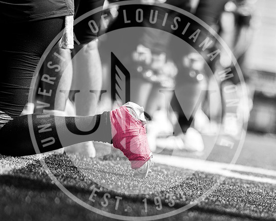 ULM vs TROY