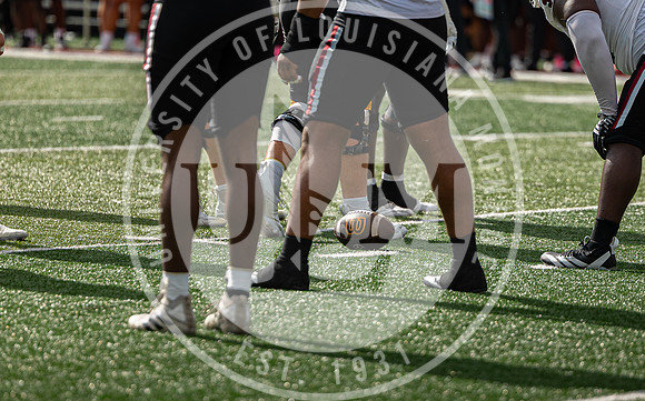 ULM vs TROY