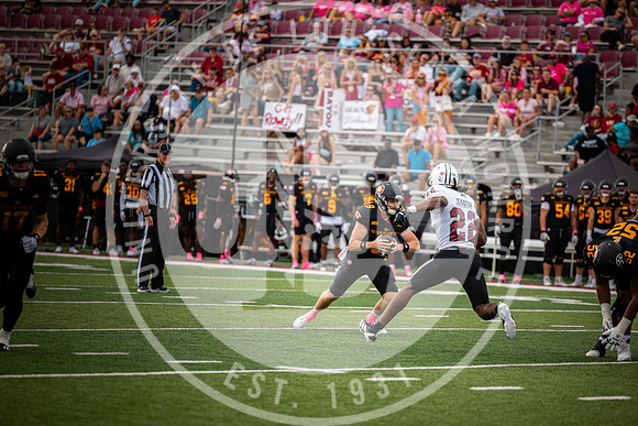 ULM vs TROY