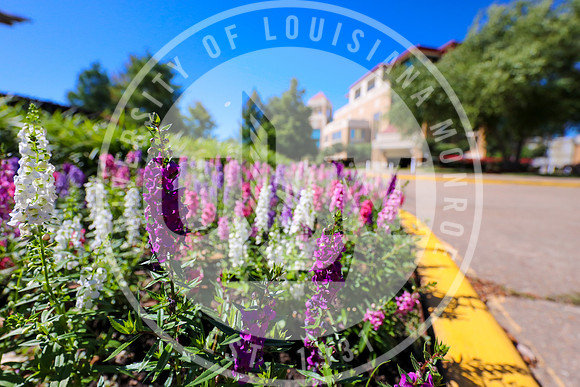 Campus Beauty