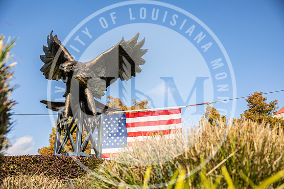 Veterans Day