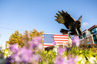 Veterans Day