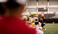 Spring game