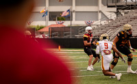 Spring game