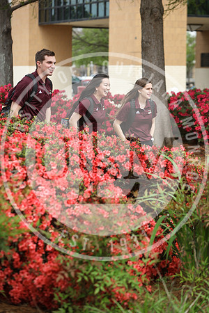 Spring Campus Beauty 2018