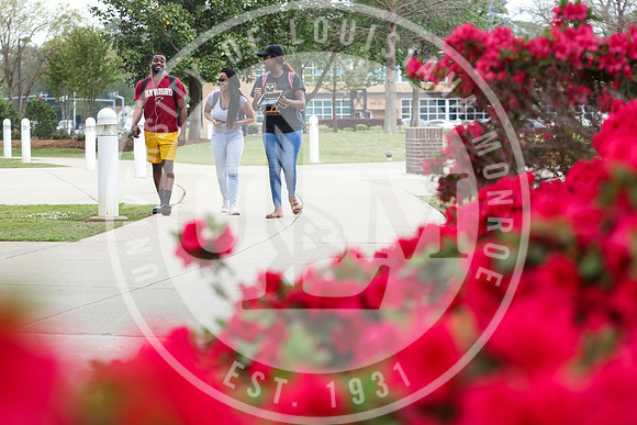 Spring Campus Beauty 2018