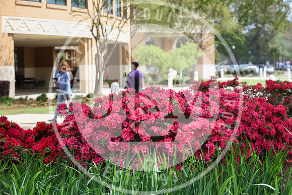 Spring Campus Beauty 2018