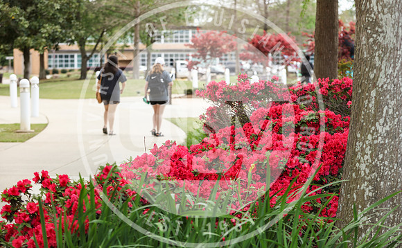 Spring Campus Beauty 2018