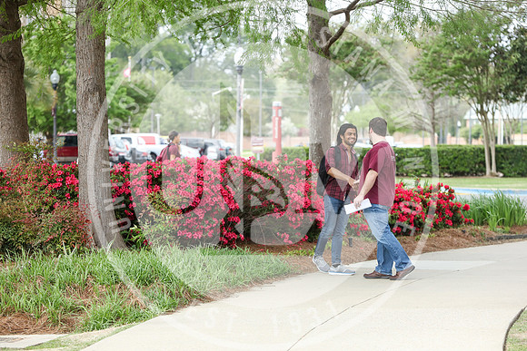 Spring Campus Beauty 2018