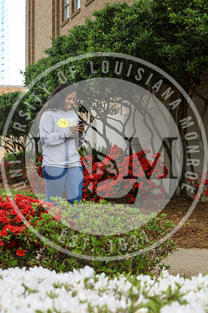 Spring Campus Beauty 2018