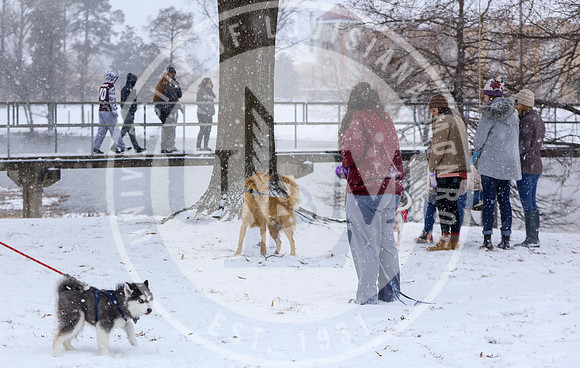 Snow Day 2018