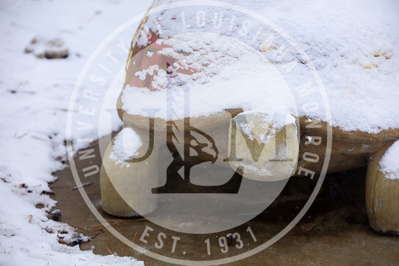 Snow Day 2018