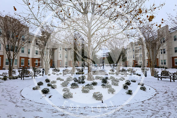 Snow Day 2018