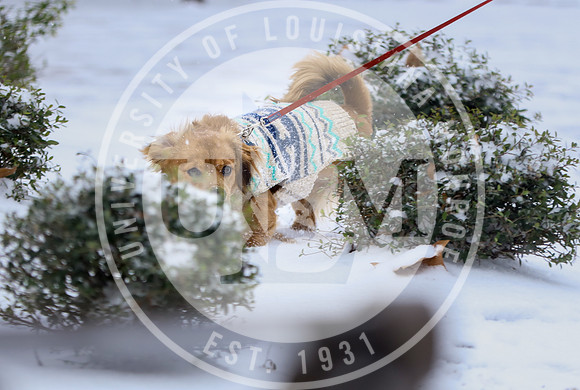 Snow Day 2018