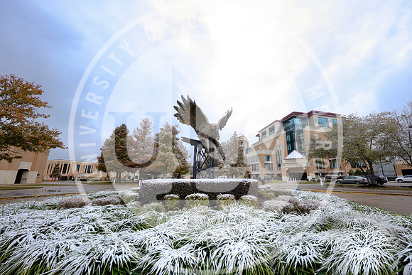 Snow Day 2018