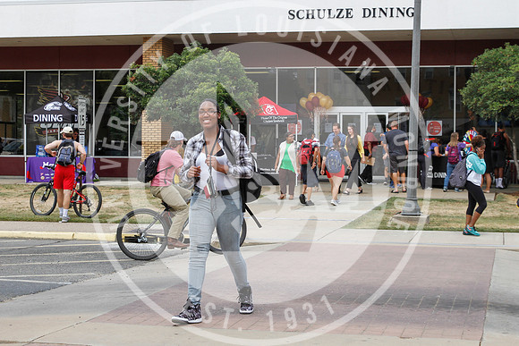Schulze Remodel