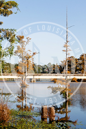 ULM Library, Alumni Center and Bayou in the Morning