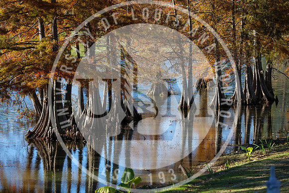 Fall Campus Scenery