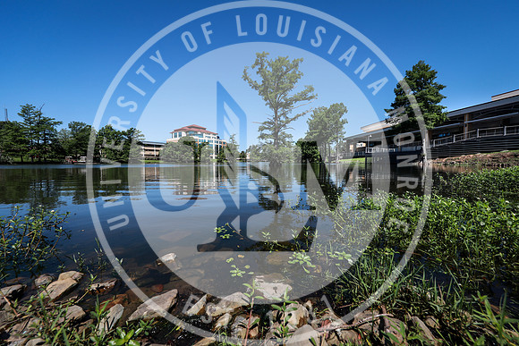 Library from Warhawk Way