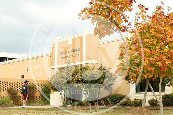 Fall Campus photo