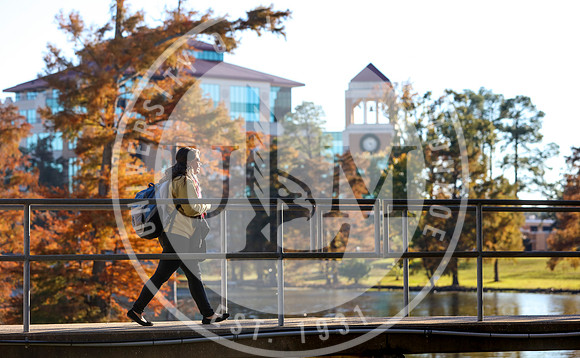 Fall Campus Scenery