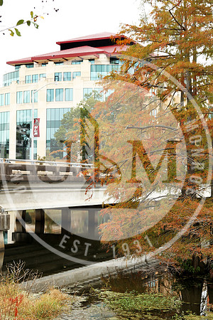 Fall Campus photo