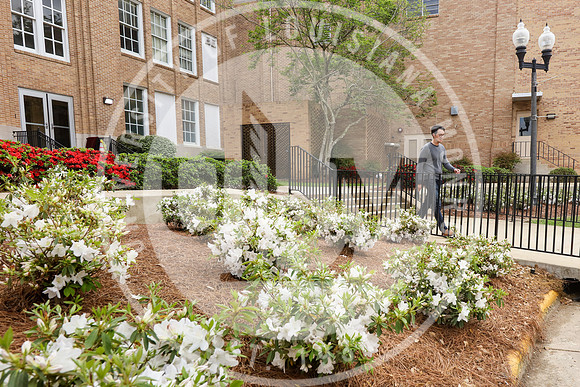 Spring Campus Beauty 2018