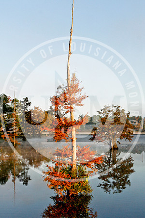 ULM Library, Alumni Center and Bayou in the Morning