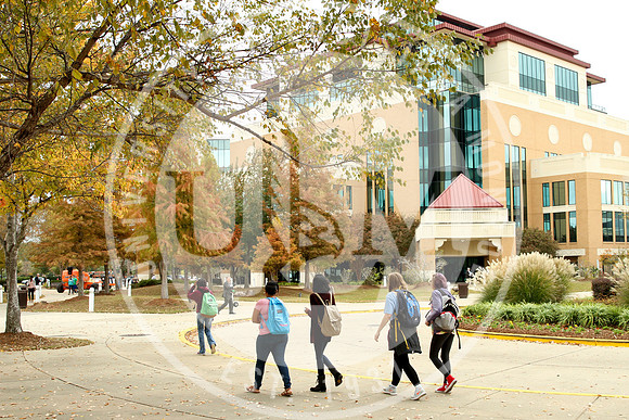 Fall Campus photo