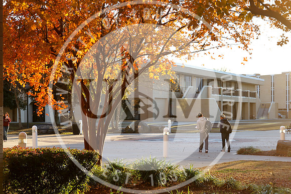 Fall Campus photo