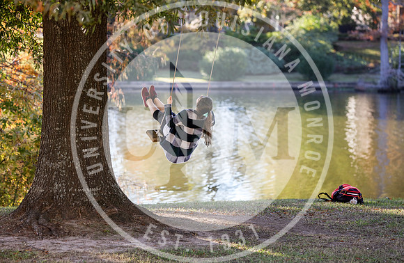 Bayou DeSiard Swing