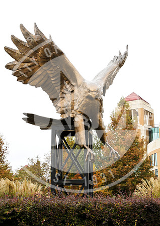 Fall Campus photo