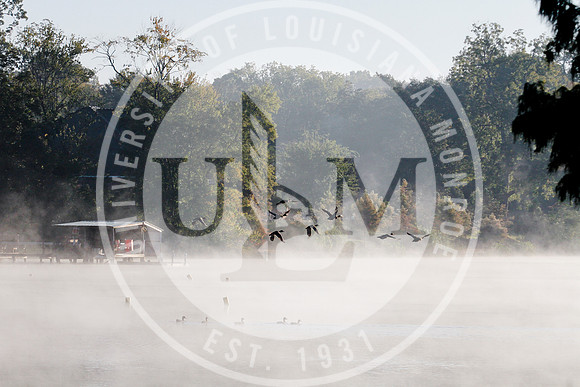ULM Library, Alumni Center and Bayou in the Morning