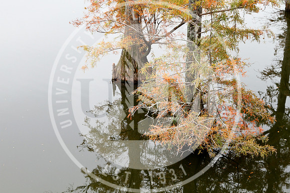 Fall Campus photo