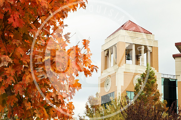 Fall Campus photo