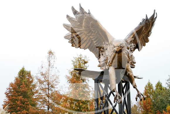 Fall Campus photo