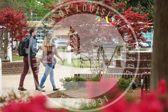 Spring Campus Beauty 2018