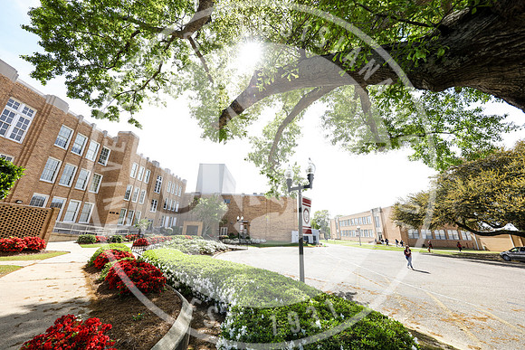 Spring Campus Beauty