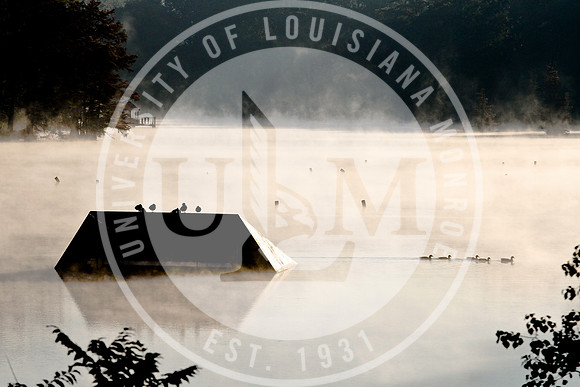 ULM Library, Alumni Center and Bayou in the Morning