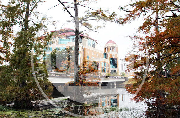 Fall Campus photo