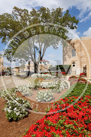Spring Campus Beauty 2018