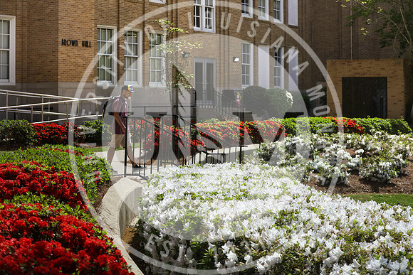 Spring Campus Beauty 2018