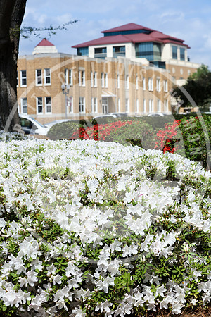 Spring Campus Beauty 2018