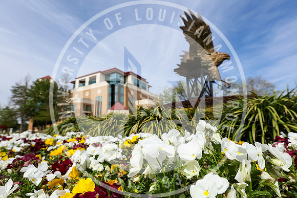 Spring Campus Beauty