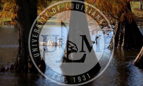 Fall Campus Scenery