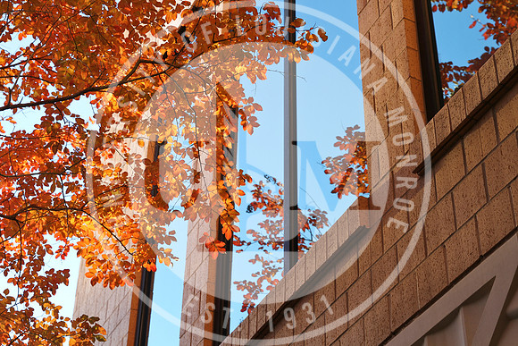 Fall Campus photo